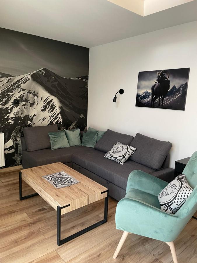 Czarny Baran Apartment Закопане Екстериор снимка